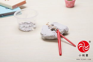 小玩童科技小制作科教器材 恐龍化石
