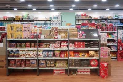 萌翻全場!&ldquo;豆柴三兄弟&rdquo;新春帶你玩轉(zhuǎn)香港!